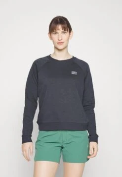 Napapijri NINA - Sweatshirt - Beige Silvr -Napapijri 8a35701a465241749265b8b8994134f4