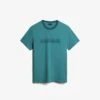 Napapijri SANTIAGO - T-Shirt Print - Blu Bristol Bae