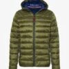 Napapijri AERONS - Übergangsjacke - Green