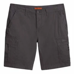 Napapijri Nus Shorts Grau