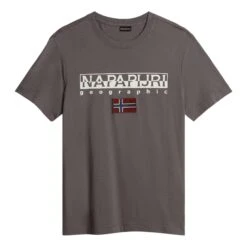 Napapijri Ayas T-Shirt Dunkelgrau/weiß