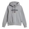 Napapijri Ayas 1 Damen Hoodie Grau