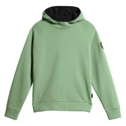 Napapijri Whale Hoodie Grün