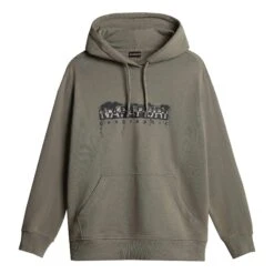 Napapijri Napo Hoodie Grün/schwarz